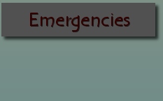 Download Rental Docs